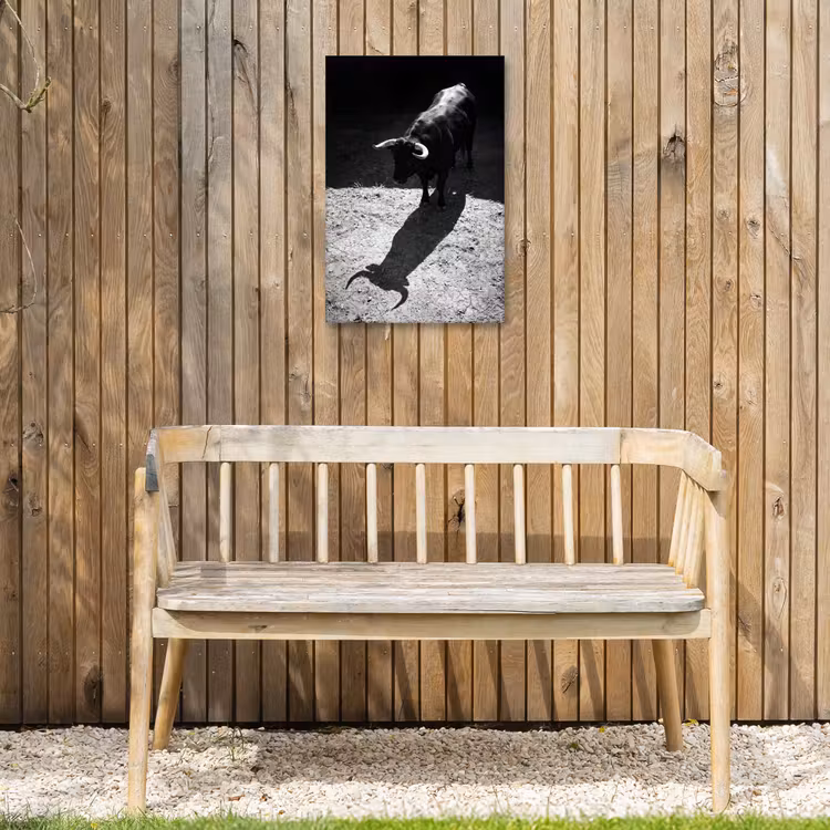 Stier - Schaduw - Dieren - Contrast - Zwart-wit Tuinposter op houten frame 2 cm dik klein -sfeer4
