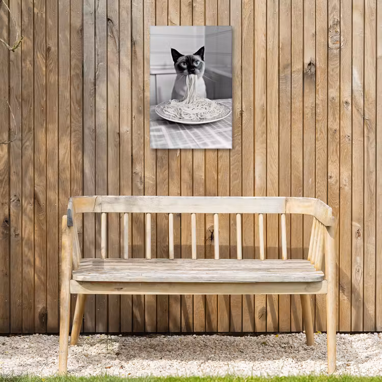 Kat - Siamees - Zwart Wit - Schattig - Dieren Tuinposter op houten frame 2 cm dik klein -sfeer4
