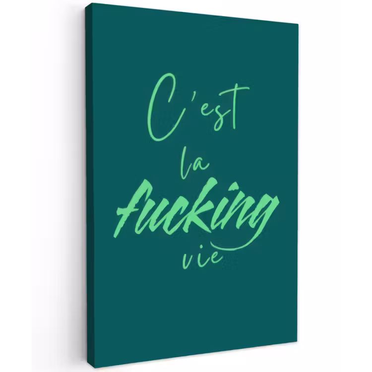 c'est la fucking vie - Groen - Handgeschreven Tuinposter op houten frame 2 cm dik klein -3d