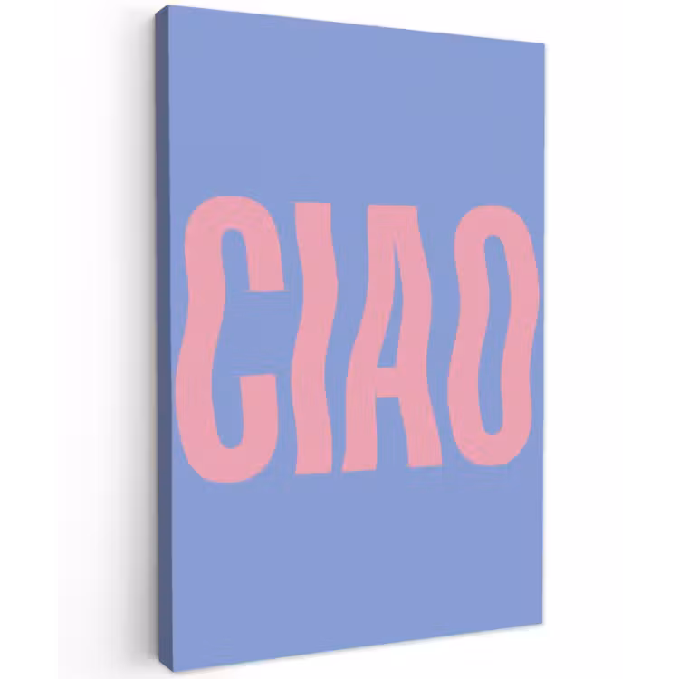 Ciao - Roze - Blauw - Golvend Tuinposter op houten frame 2 cm dik klein -3d