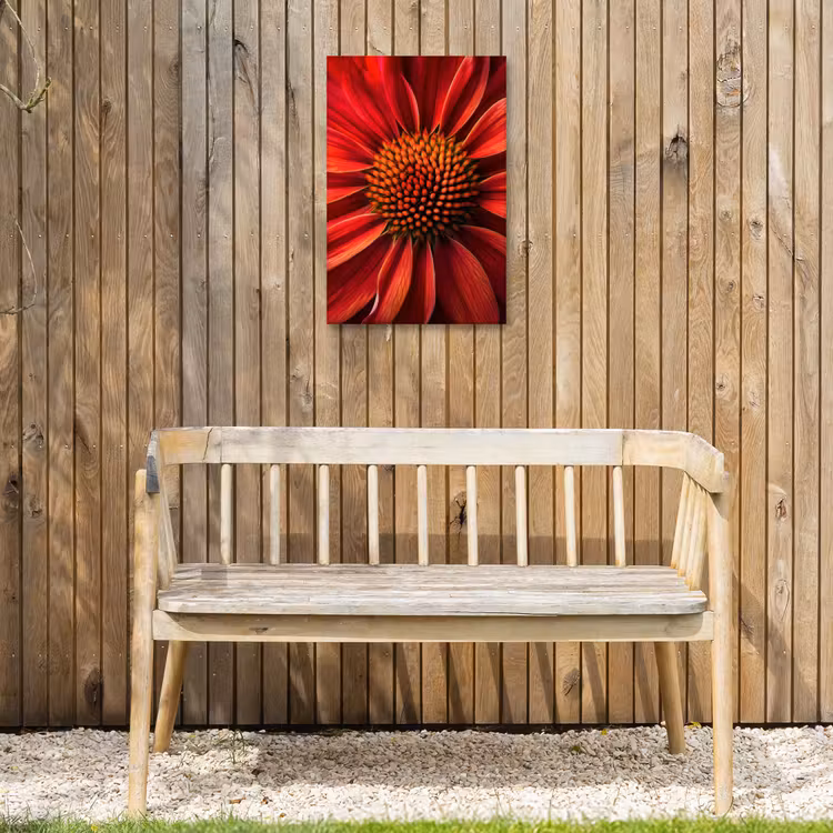 Close up - Bloem- Rood Tuinposter op houten frame 2 cm dik klein -sfeer4