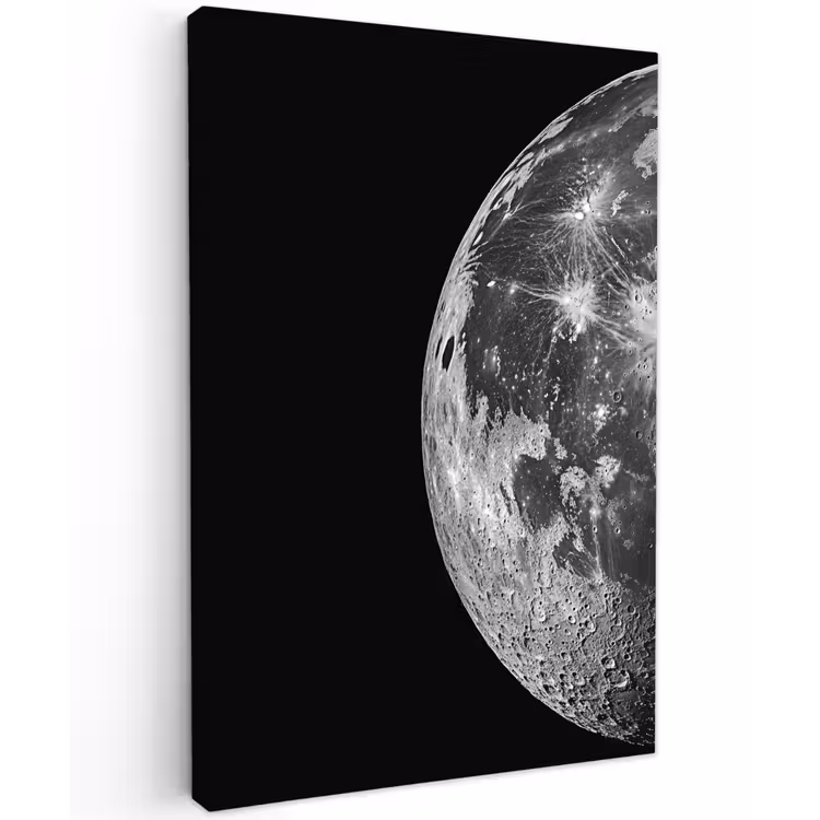 Close-up - Maan - Wit - Textuur Tuinposter op houten frame 2 cm dik klein -3d