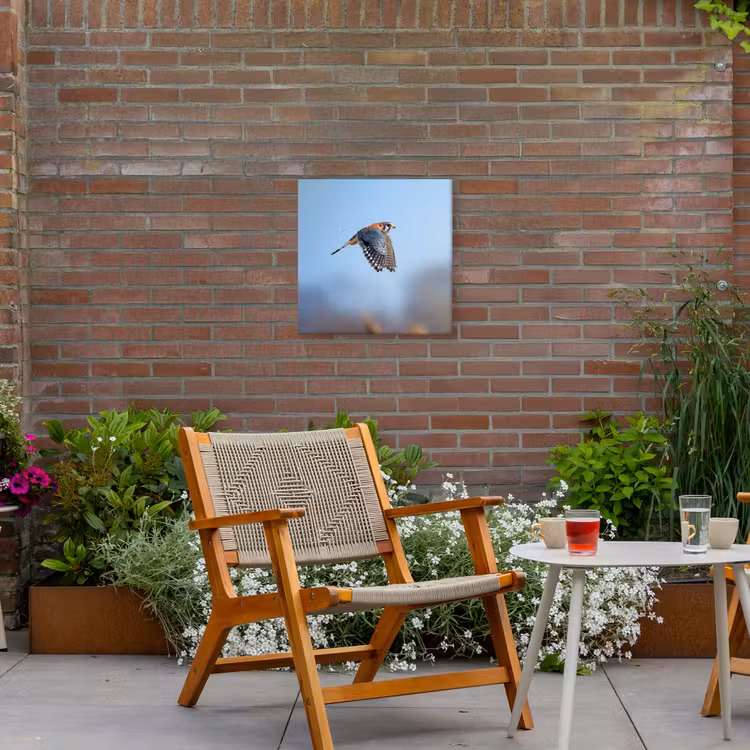 Kleurrijke valk aan het vliegen Tuinposter op houten frame 2 cm dik klein -sfeer3