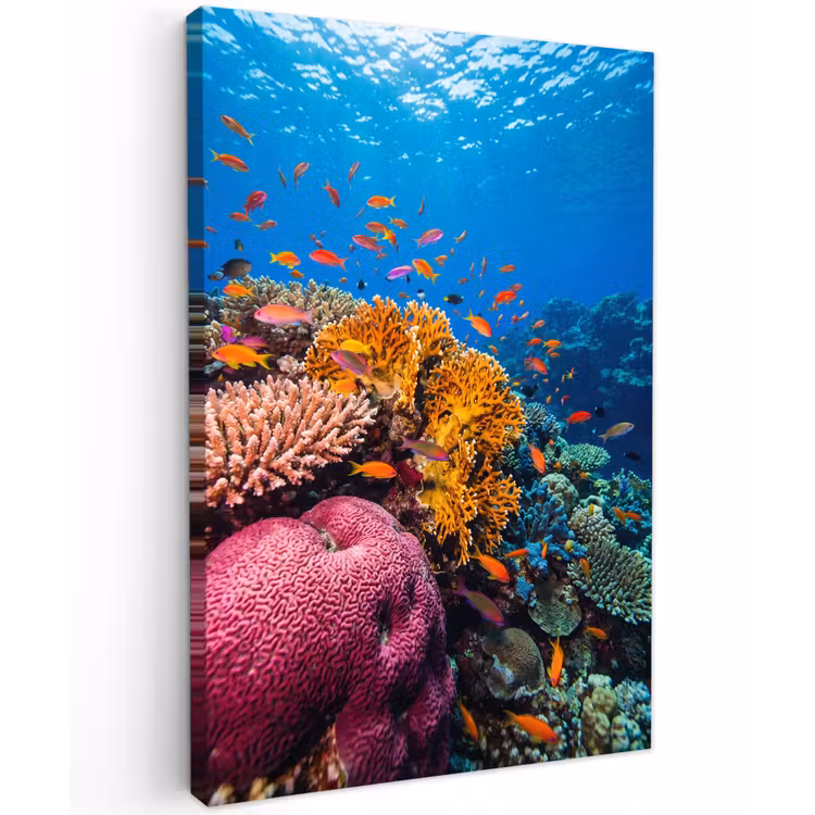 Koraal - Vissen - Oceaan - Natuur - Kleurrijk Tuinposter op houten frame 2 cm dik klein -3d