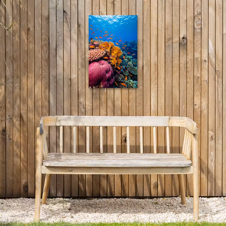 Koraal - Vissen - Oceaan - Natuur - Kleurrijk Tuinposter op houten frame 2 cm dik klein -sfeer4