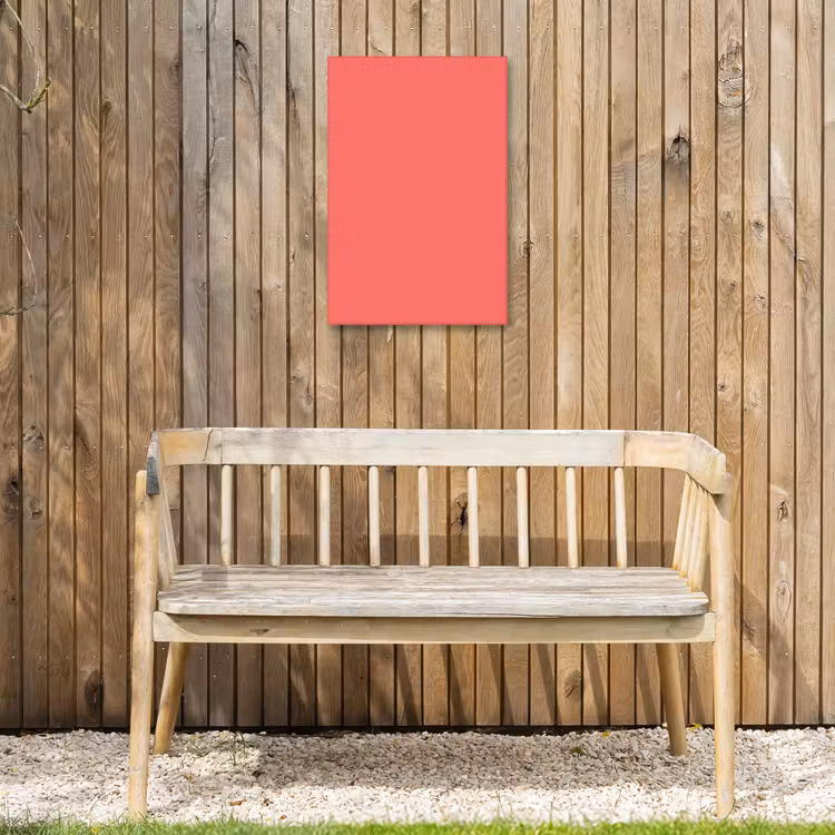 Coral - Punch - Koraal Tuinposter op houten frame 2 cm dik klein 841 -sfeer4