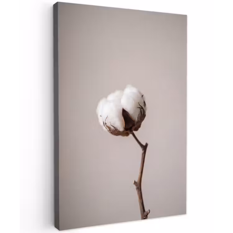Katoenbol - Minimalistisch - Wit Tuinposter op houten frame 2 cm dik klein -3d