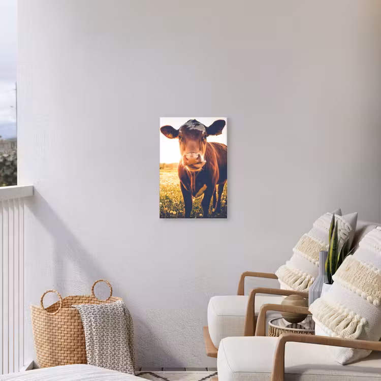 Koe bij zonsondergang op een veld vol paardenbloemen Tuinposter op houten frame 2 cm dik klein -sfeer1
