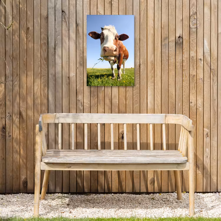 Koe in de Weide Tuinposter op houten frame 2 cm dik klein -sfeer4