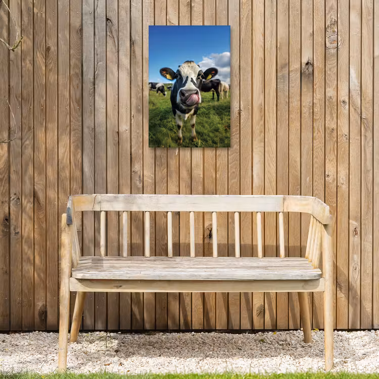 Koe - Tong - Weide Tuinposter op houten frame 2 cm dik klein -sfeer4