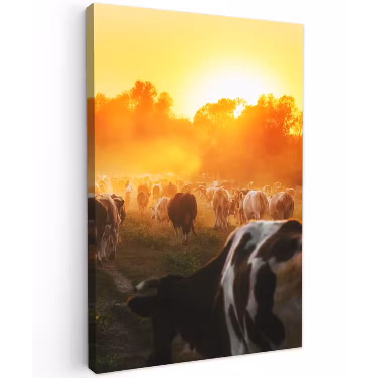 Koeien bij Zonsondergang Tuinposter op houten frame 2 cm dik klein -3d