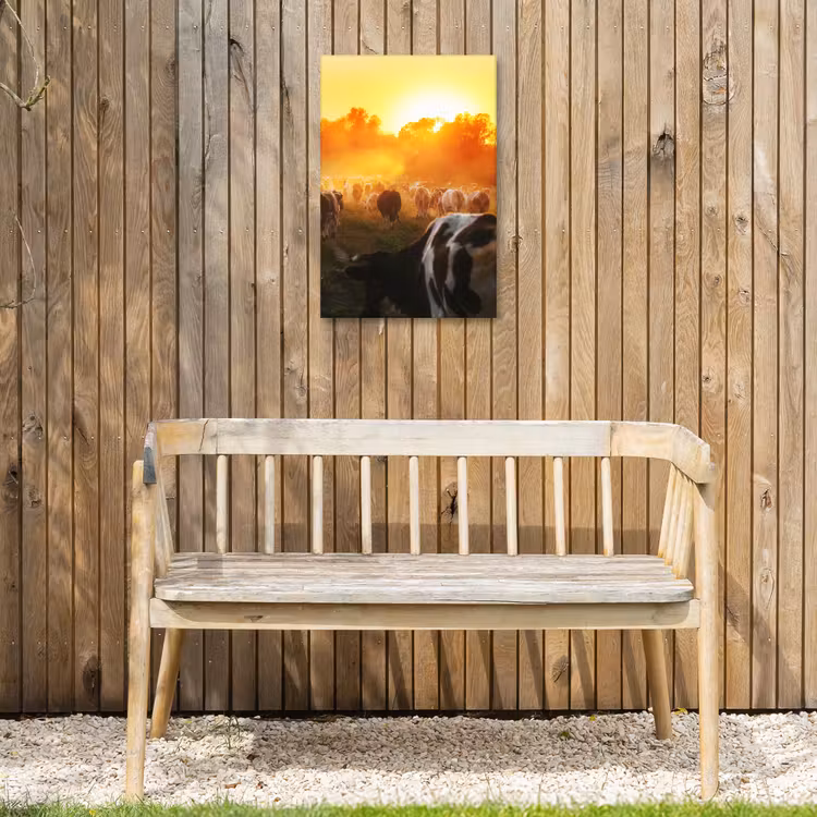 Koeien bij Zonsondergang Tuinposter op houten frame 2 cm dik klein -sfeer4