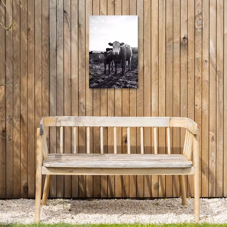 Koeien - Zwart - Wit Tuinposter op houten frame 2 cm dik klein -sfeer4