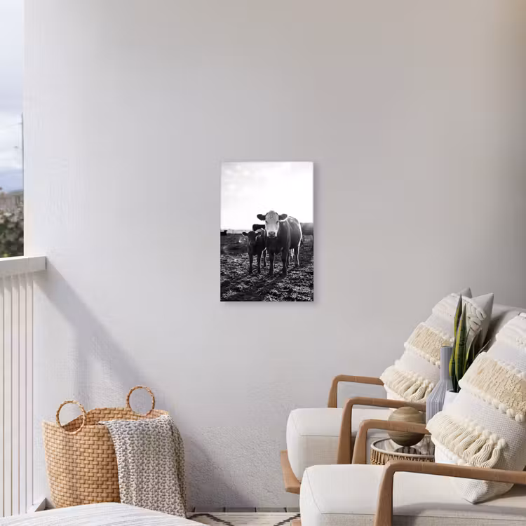 Koeien - Zwart - Wit Tuinposter op houten frame 2 cm dik klein -sfeer1