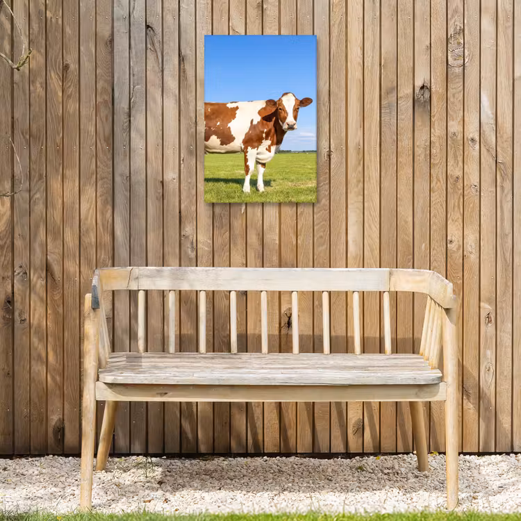 Koeien in de Weide Tuinposter op houten frame 2 cm dik klein -sfeer4