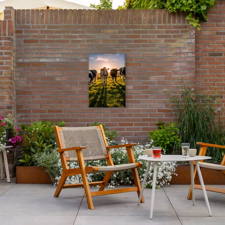 Koeien in de ochtendzon Tuinposter op houten frame 2 cm dik klein -sfeer3