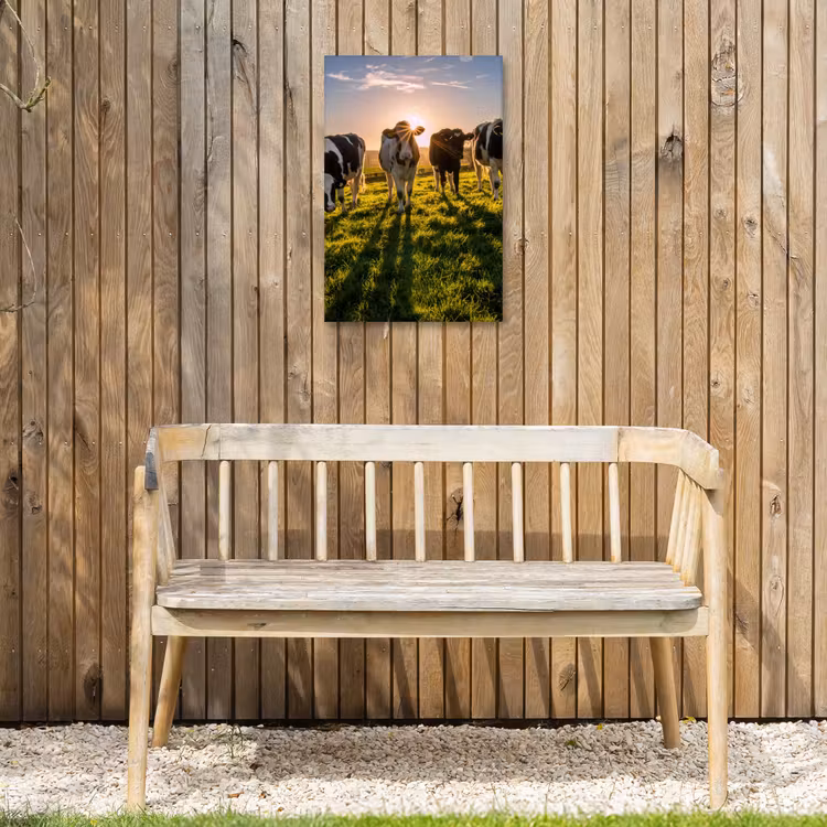 Koeien in de ochtendzon Tuinposter op houten frame 2 cm dik klein -sfeer4