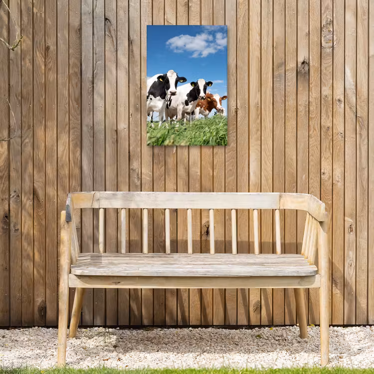Koeien in de weide Tuinposter op houten frame 2 cm dik klein -sfeer4