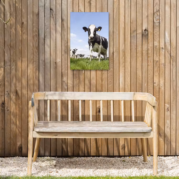 Koeien in de weide onder een heldere lucht Tuinposter op houten frame 2 cm dik klein -sfeer4