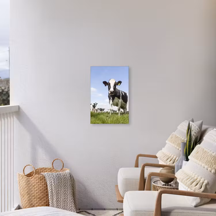 Koeien in de weide onder een heldere lucht Tuinposter op houten frame 2 cm dik klein -sfeer1