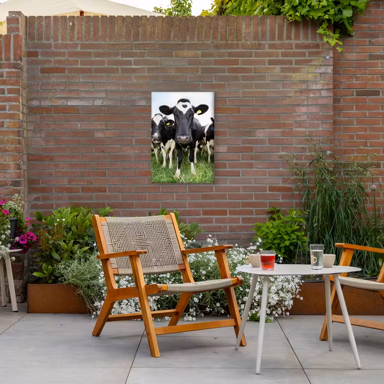 Nieuwsgierige koeien Tuinposter op houten frame 2 cm dik klein -sfeer3