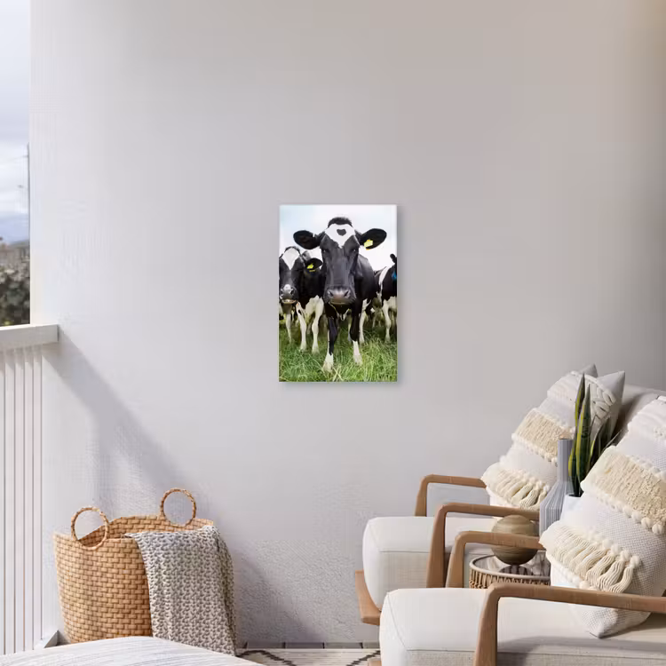 Nieuwsgierige koeien Tuinposter op houten frame 2 cm dik klein -sfeer1