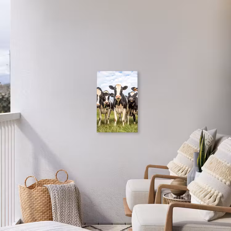 Nieuwsgierige koeien in de wei Tuinposter op houten frame 2 cm dik klein -sfeer1