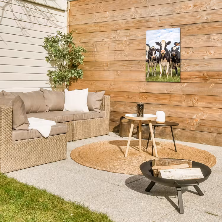 Nieuwsgierige koeien in de wei Tuinposter op houten frame 2 cm dik klein -sfeer2