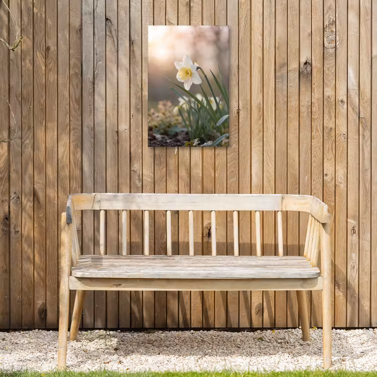 Narcis - Bloem - Minimalistisch Tuinposter op houten frame 2 cm dik klein -sfeer4