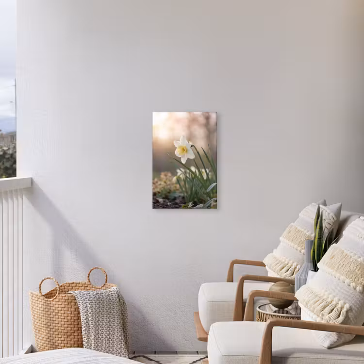 Narcis - Bloem - Minimalistisch Tuinposter op houten frame 2 cm dik klein -sfeer1