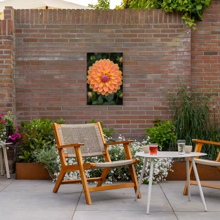 Dahlia - Bloem - Oranje Tuinposter op houten frame 2 cm dik klein -sfeer3