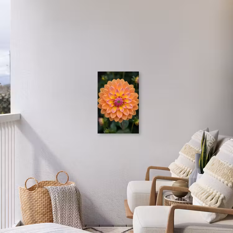 Dahlia - Bloem - Oranje Tuinposter op houten frame 2 cm dik klein -sfeer1