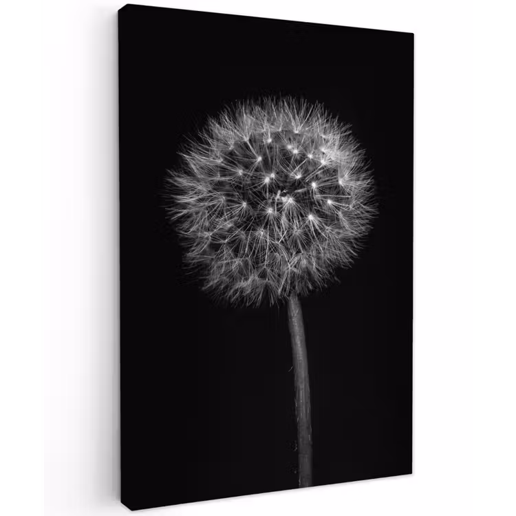 Paardenbloem - Zwart - Bloemen - Botanisch Tuinposter op houten frame 2 cm dik klein -3d