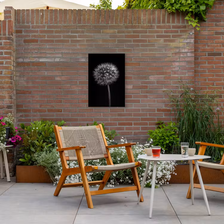 Paardenbloem - Zwart - Bloemen - Botanisch Tuinposter op houten frame 2 cm dik klein -sfeer3