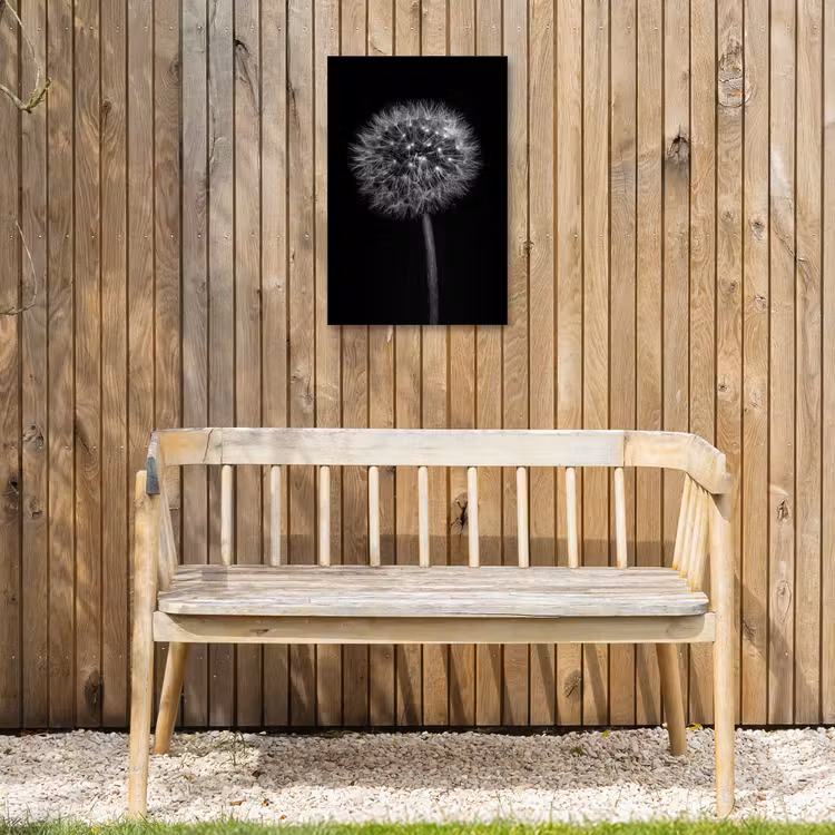 Paardenbloem - Zwart - Bloemen - Botanisch Tuinposter op houten frame 2 cm dik klein -sfeer4