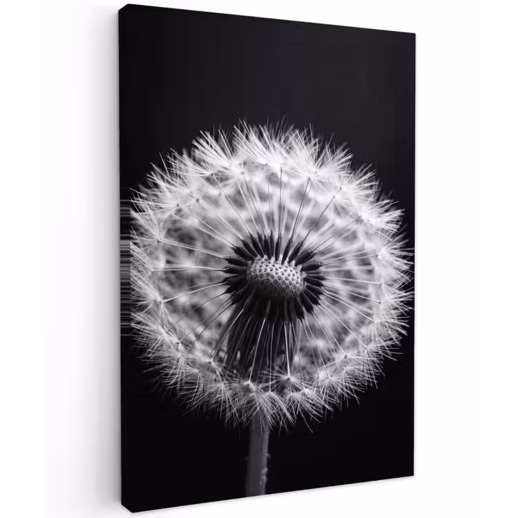 Paardenbloem - Zwart - Wit Tuinposter op houten frame 2 cm dik klein -3d