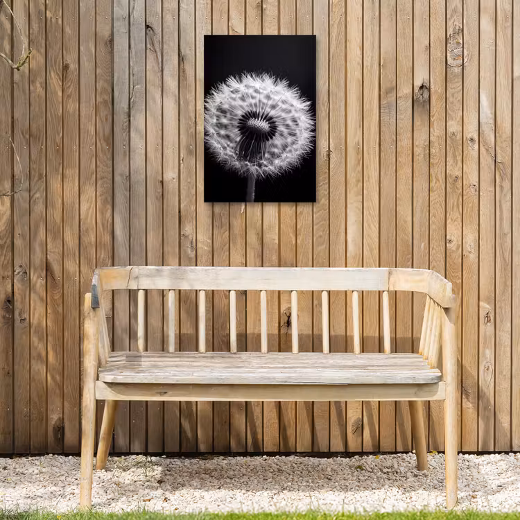 Paardenbloem - Zwart - Wit Tuinposter op houten frame 2 cm dik klein -sfeer4