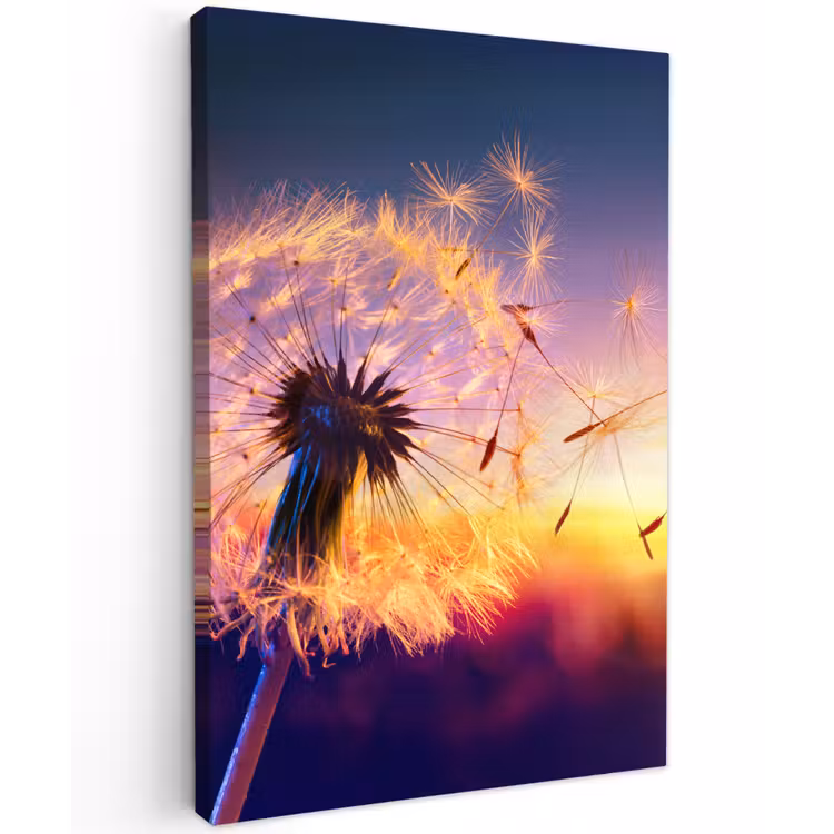 Paardenbloem in de Avondschemering Tuinposter op houten frame 2 cm dik klein -3d