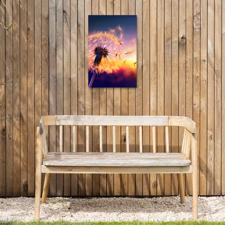 Paardenbloem in de Avondschemering Tuinposter op houten frame 2 cm dik klein -sfeer4
