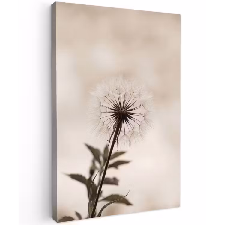 Paardenbloem - Minimalistisch - Wit Tuinposter op houten frame 2 cm dik klein -3d
