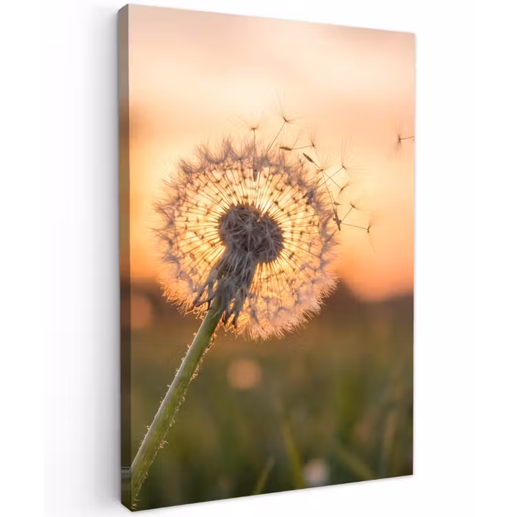 Paardenbloem - Zonsondergang - Veld Tuinposter op houten frame 2 cm dik klein -3d