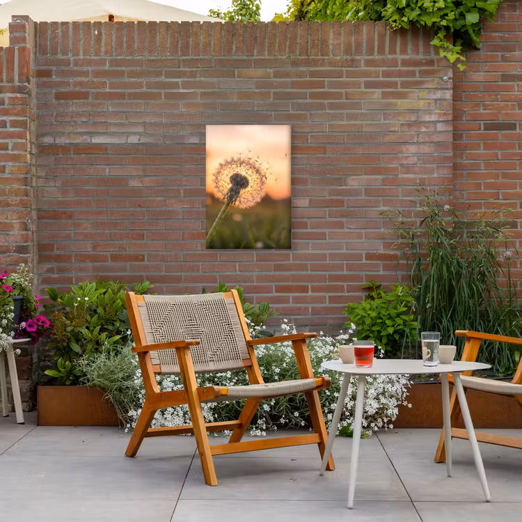 Paardenbloem - Zonsondergang - Veld Tuinposter op houten frame 2 cm dik klein -sfeer3