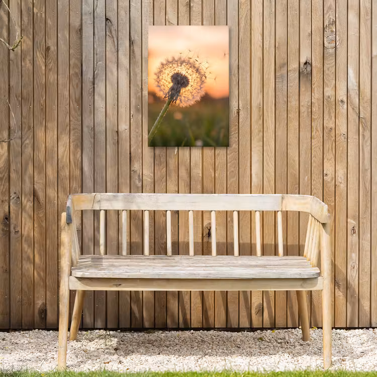 Paardenbloem - Zonsondergang - Veld Tuinposter op houten frame 2 cm dik klein -sfeer4