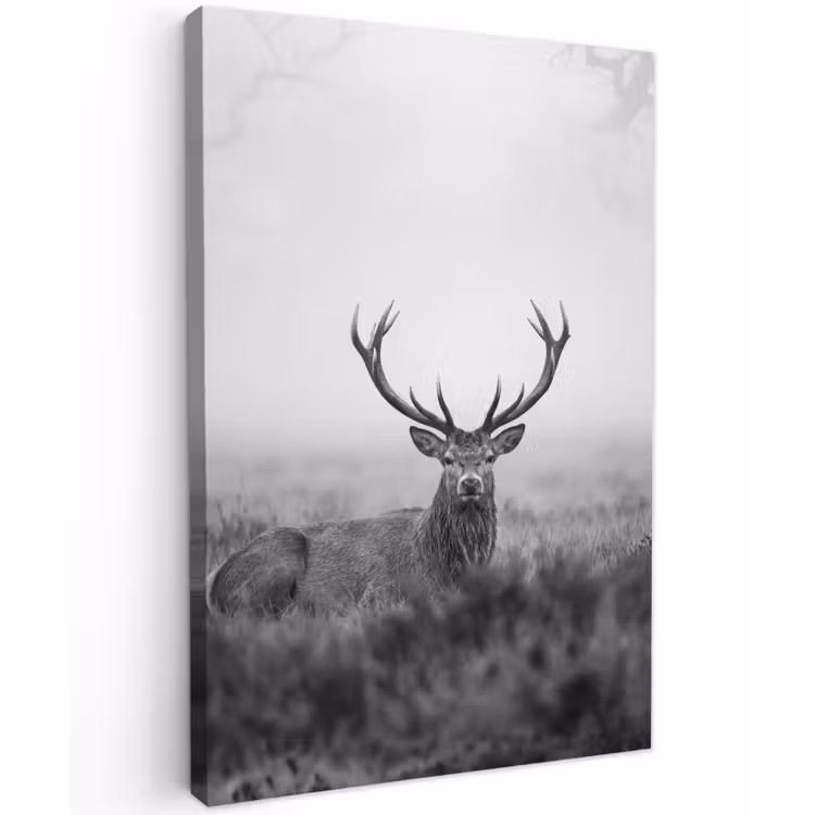 Hert - Mistig - Zwart - Wit Tuinposter op houten frame 2 cm dik klein -3d