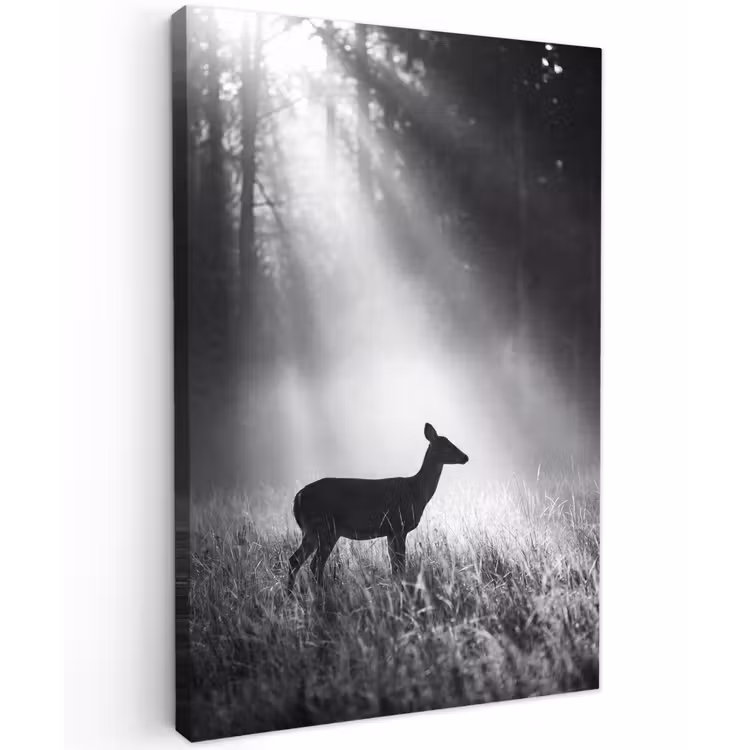 Hert - Bos - Zonnestralen - Zwart-wit - Natuur Tuinposter op houten frame 2 cm dik klein -3d