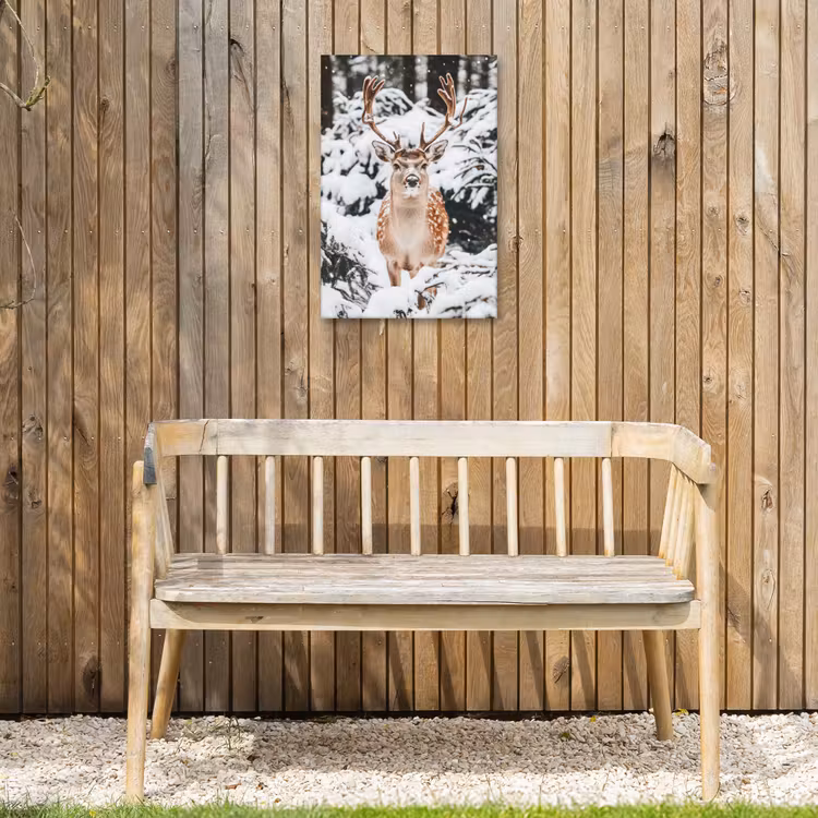 Hert - Sneeuw - Winter - Bos - Dieren Tuinposter op houten frame 2 cm dik klein -sfeer4