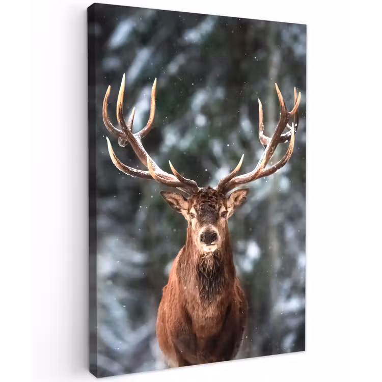 Hert - Winter - Sneeuw - Bos - Natuur - Dier Tuinposter op houten frame 2 cm dik klein -3d