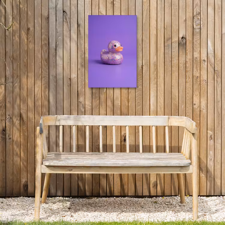 Disco - Eend - Paars Tuinposter op houten frame 2 cm dik klein -sfeer4