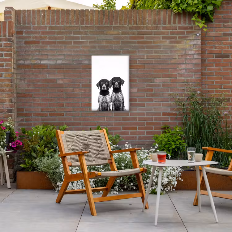 Honden - Bivakmuts - Zwart - wit Tuinposter op houten frame 2 cm dik klein -sfeer3