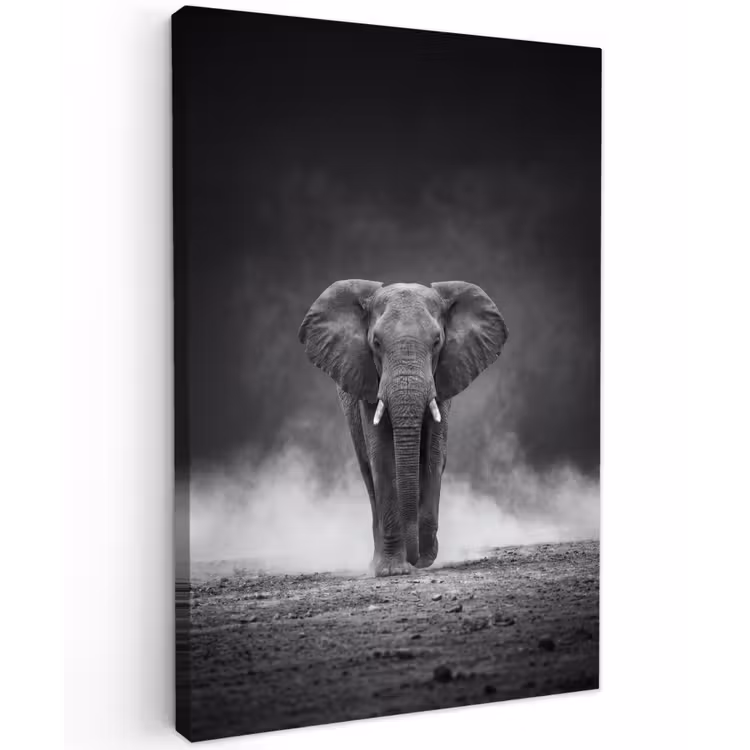Olifant - Zwart - Wit - Rook Tuinposter op houten frame 2 cm dik klein -3d